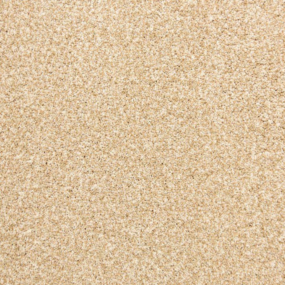Textured Saxony Champagne Beige/Tan Carpet