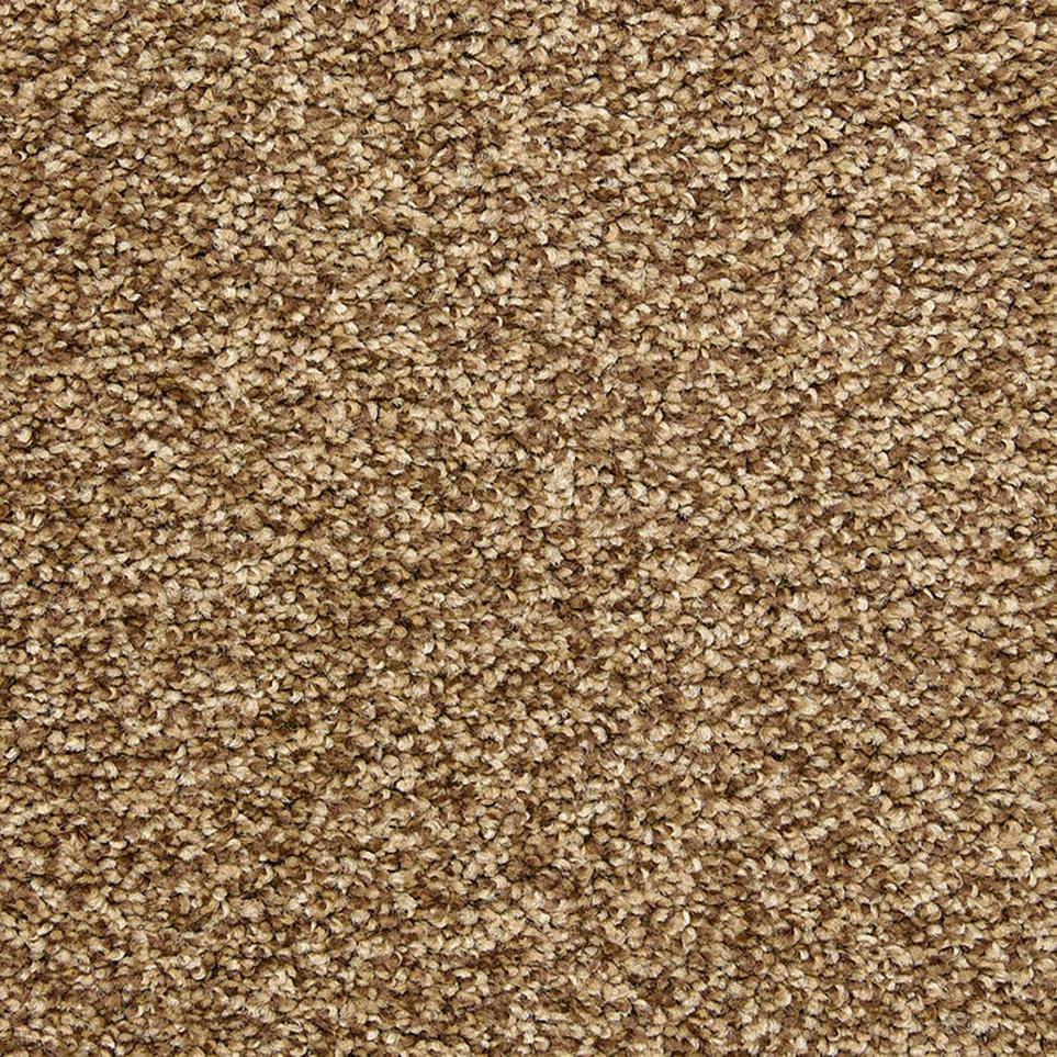 Texture High Point Brown Carpet