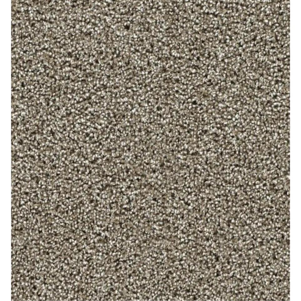 Textured Saxony Versatile Brown Carpet