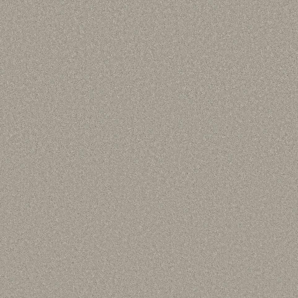 Texture Homestead Gray Carpet