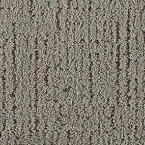 Pattern Free Falling Brown Carpet