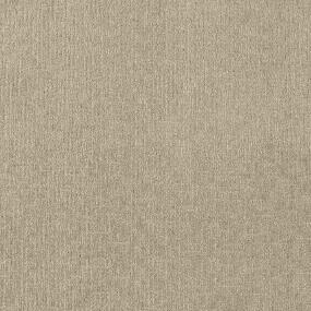 Pattern Weathered Timber Beige/Tan Carpet