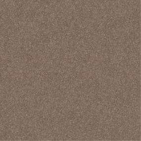Plush Saxony Fence Post Beige/Tan Carpet