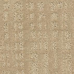 Pattern Media Room Beige/Tan Carpet