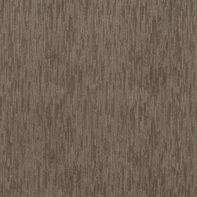 Pattern Endeaver Beige/Tan Carpet