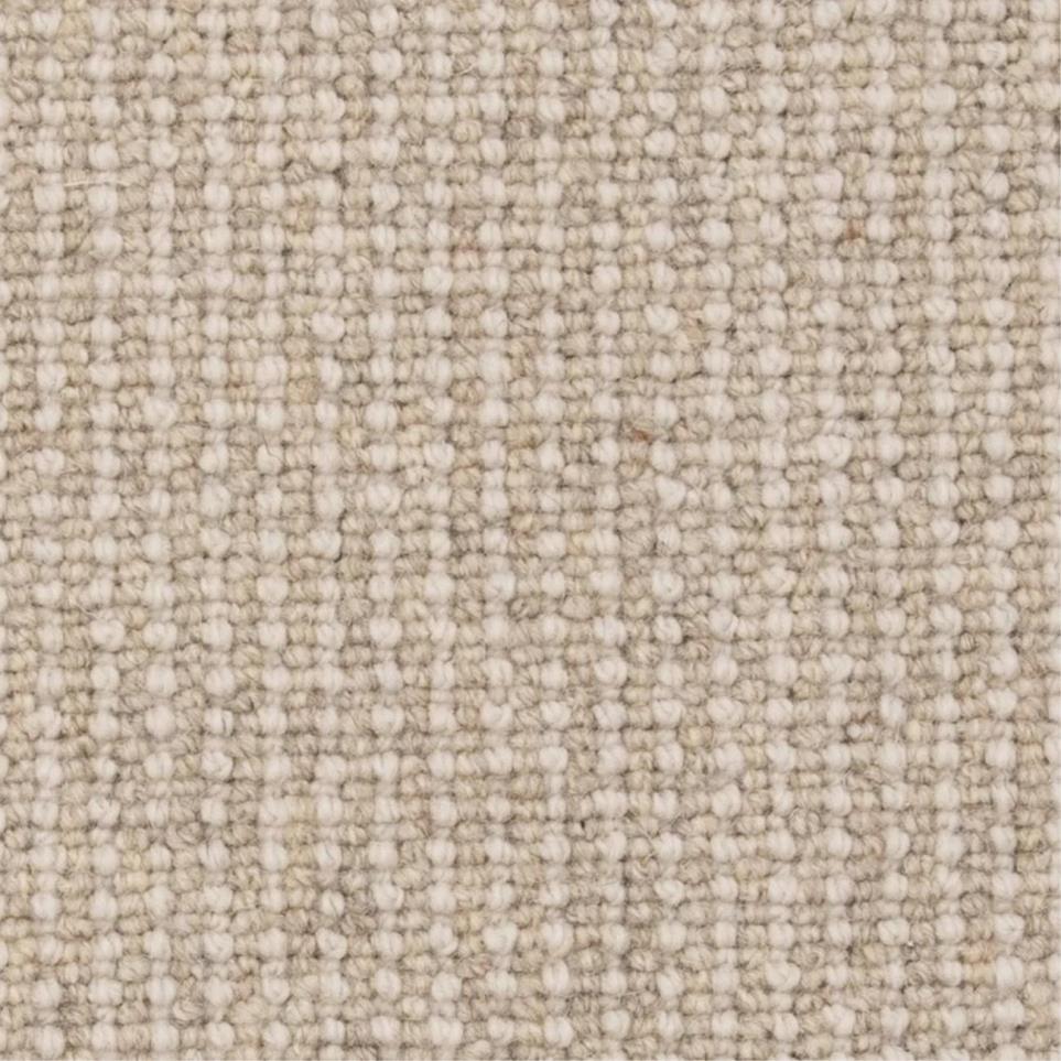 Loop Canvas Beige/Tan Carpet