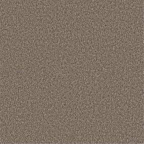 Plush Saxony Sugar Cookie Brown Carpet