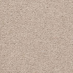 Textured Saxony Villa Brown Carpet