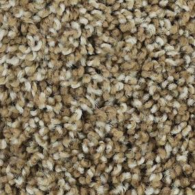 Textured Saxony Rattan Beige/Tan Carpet