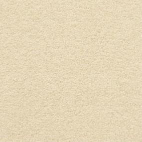 Casual Texture Pale Beige/Tan Carpet