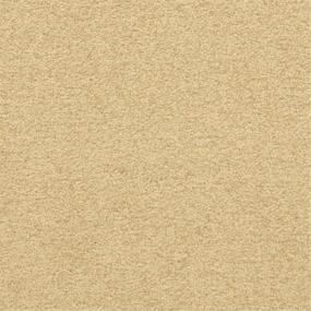 Casual Texture Overlook Beige/Tan Carpet