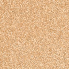 Casual Texture Basketry Beige/Tan Carpet