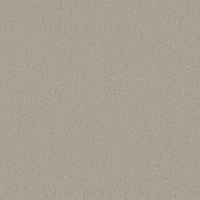 Textured Saxony Champagne Beige/Tan Carpet