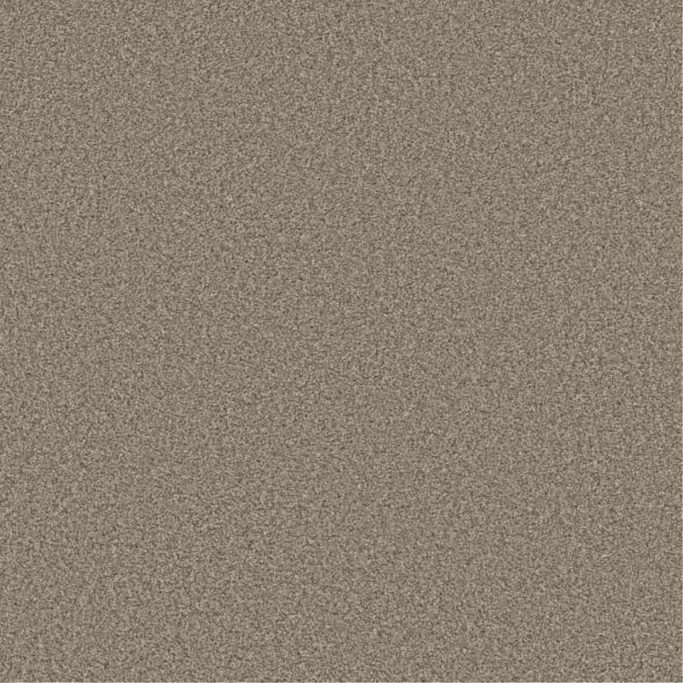 Textured Saxony Vintage Leather Beige/Tan Carpet