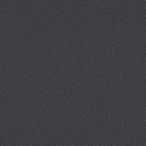 Textured Saxony Delft Black Carpet