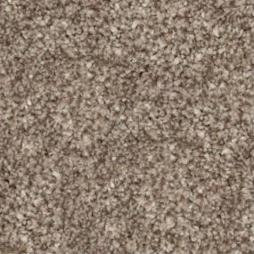 Casual Texture Garden Wall Brown Carpet
