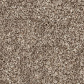 Casual Texture Garden Wall Brown Carpet