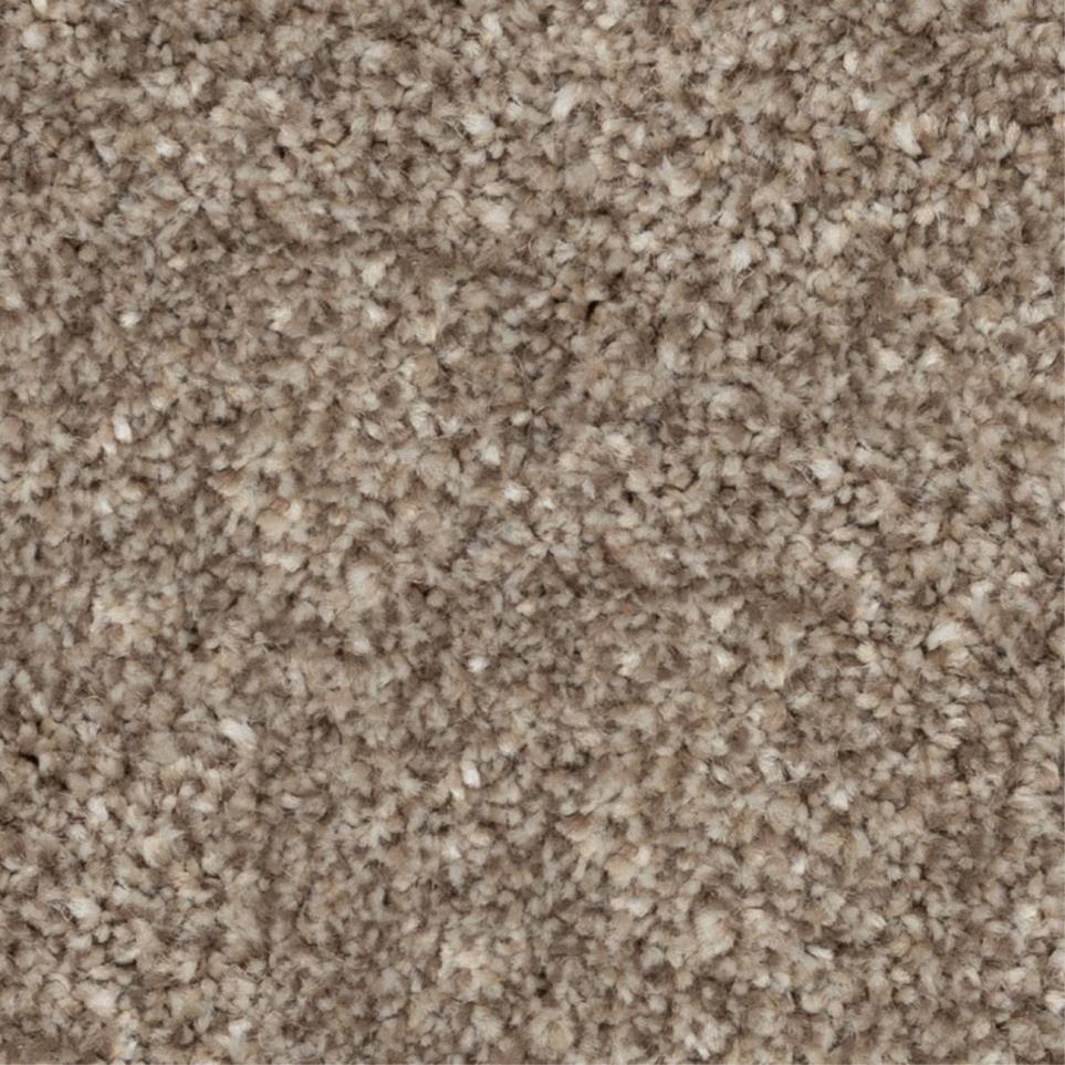 Casual Texture Garden Wall Brown Carpet