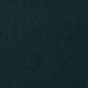 Cut Pile Holly Gray Carpet