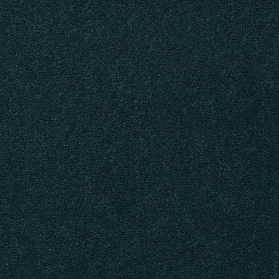 Cut Pile Holly Gray Carpet