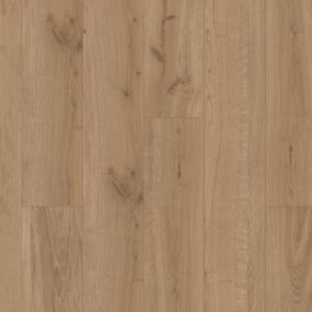 Toffee Burl Oak