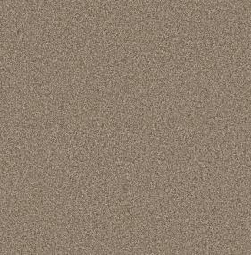 Textured Saxony Wild Rice Beige/Tan Carpet