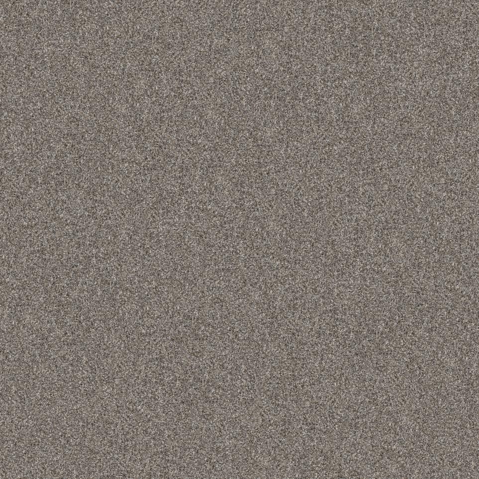 Casual Texture Etched Silver Beige/Tan Carpet