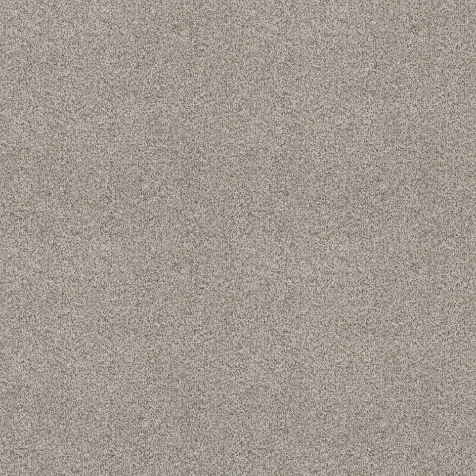 Texture Oats Beige/Tan Carpet