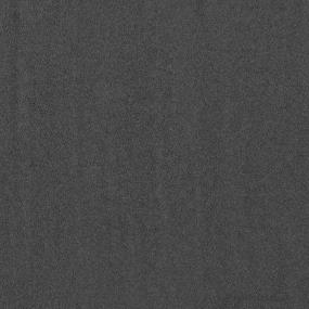 Textured Saxony Shale Gray Carpet