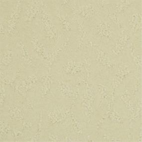 Pattern Shell Beige/Tan Carpet