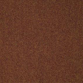 Loop Strawberry Cobbler Brown Carpet