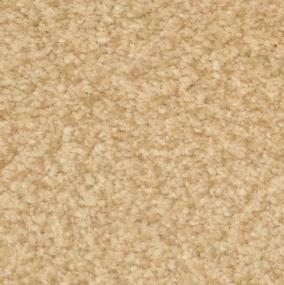Frieze Bamboo Beige/Tan Carpet