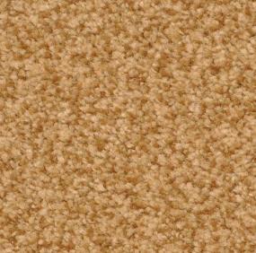 Casual Texture Earth Beige/Tan Carpet