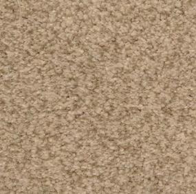 Casual Texture Marshland Beige/Tan Carpet