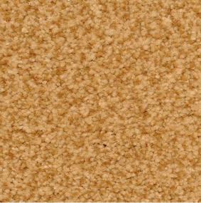 Casual Texture Copper  Orange Carpet