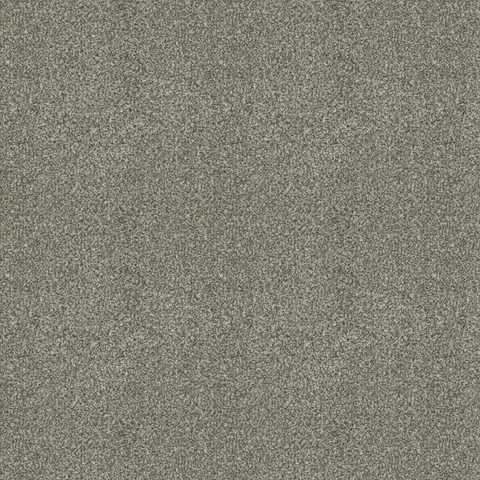 Texture Reliance Gray Carpet