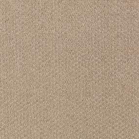 Pattern Shipwreck Beige/Tan Carpet