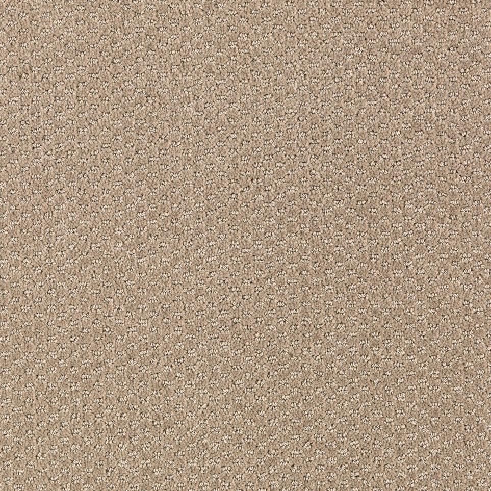 Pattern Shipwreck Beige/Tan Carpet