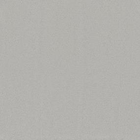 Casual Texture Pebble Gray Carpet