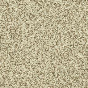 Textured Saxony Sugar Dust Beige/Tan Carpet