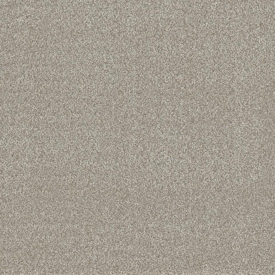 Textured Saxony Filigree Beige/Tan Carpet