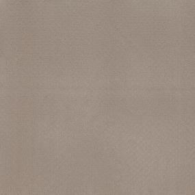 Pattern Doe Skin Beige/Tan Carpet
