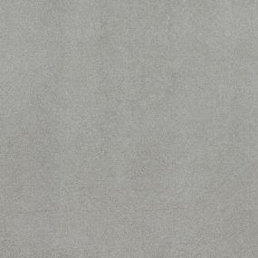 Textured Saxony Direction Gray Carpet