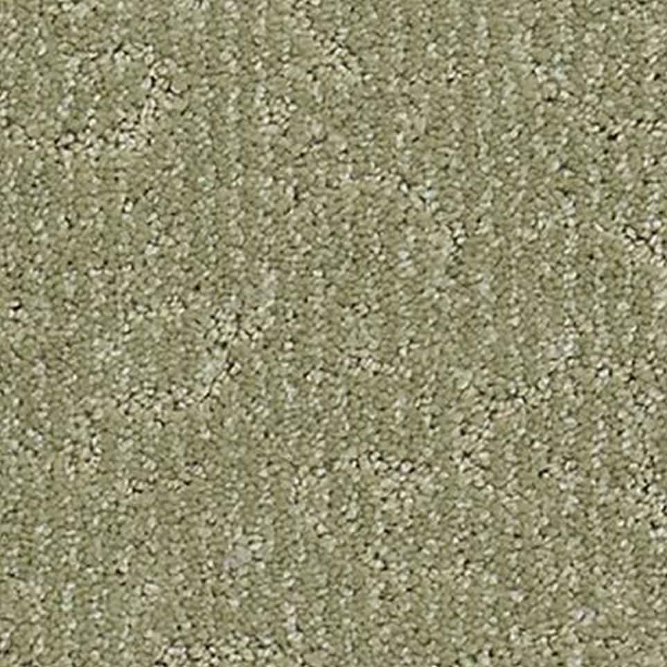 Pattern Evergreen Green Carpet