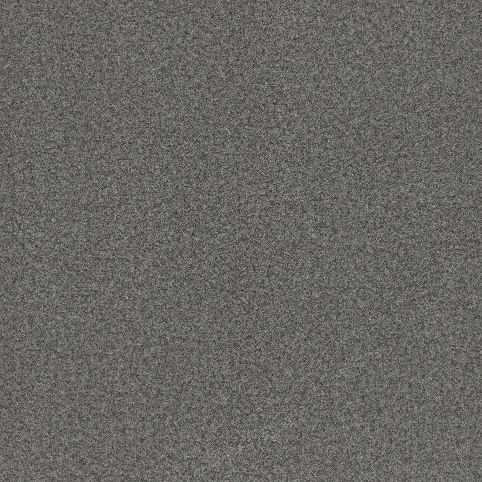 Texture Alliance Gray Carpet