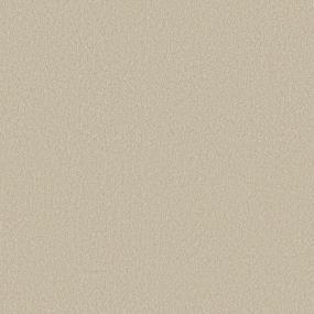 Texture Champagne Beige/Tan Carpet