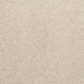 Casual Texture Driftwood Beige/Tan Carpet