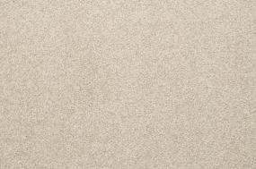 Casual Texture Driftwood Beige/Tan Carpet