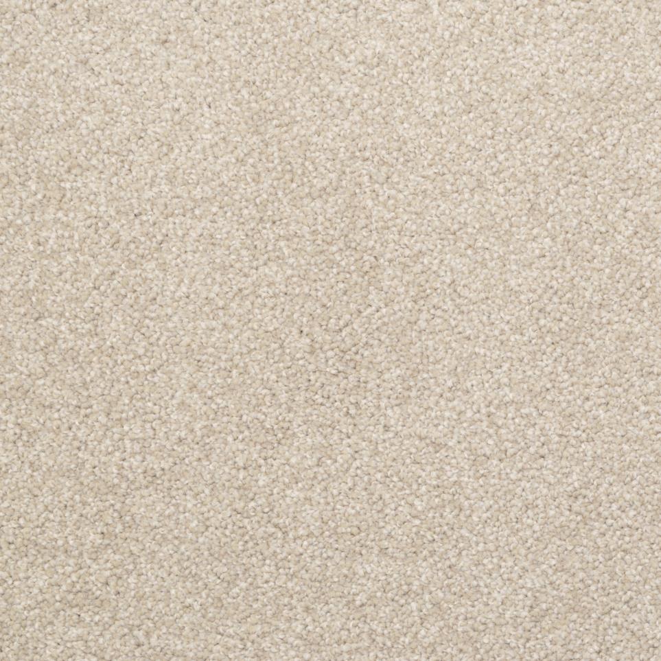 Casual Texture Driftwood Beige/Tan Carpet
