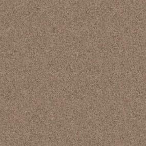 Texture Cork Beige/Tan Carpet